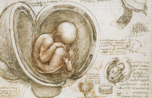 Esclarecendo a questão do aborto